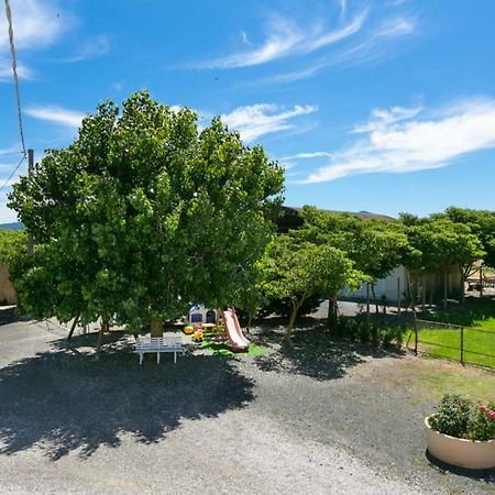 Agriturismo Case Nuove Castellina Marittima Exterior photo